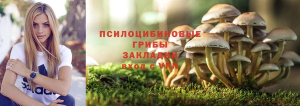 бутират Лагань