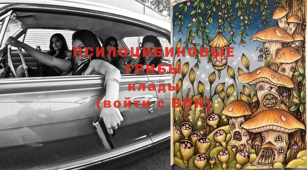 ГАЛЛЮЦИНОГЕННЫЕ ГРИБЫ Кулебаки