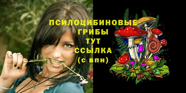 ГАЛЛЮЦИНОГЕННЫЕ ГРИБЫ Кулебаки