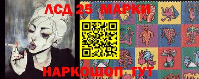 гашик Кимры