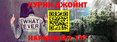 гашик Кимры