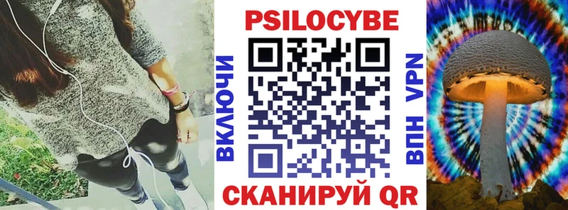 darknet как зайти  Чебаркуль  Псилоцибиновые грибы MAGIC MUSHROOMS 
