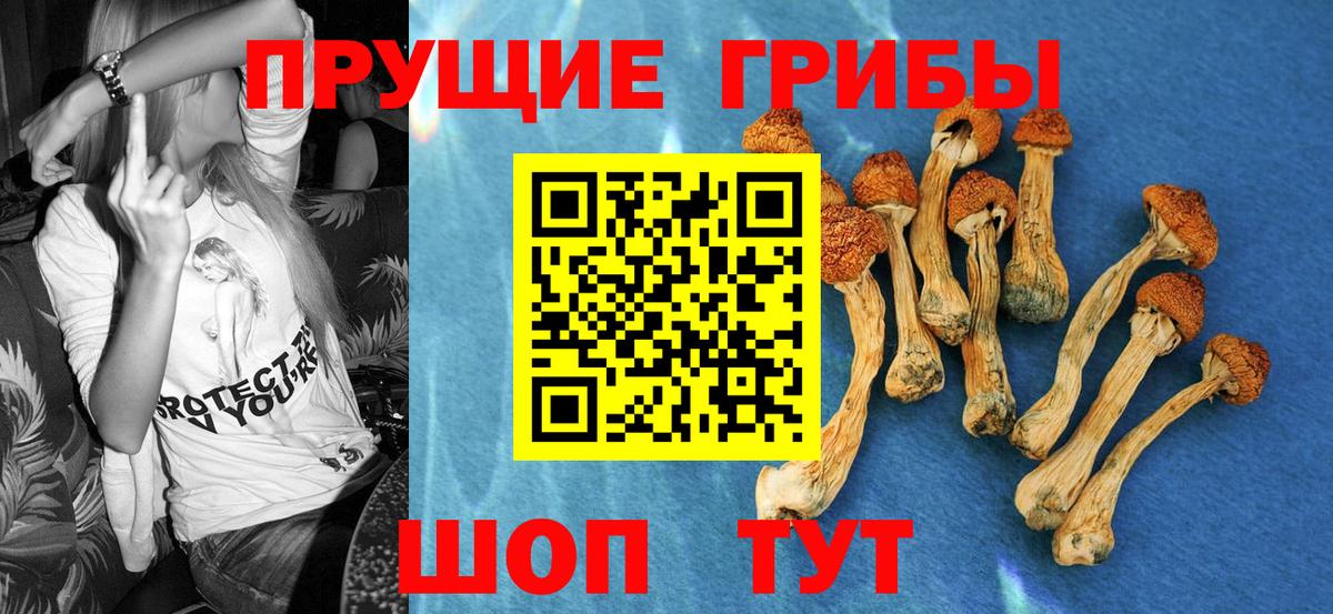 Чебаркуль  Псилоцибиновые грибы Psilocybine cubensis  Вход с VPN 